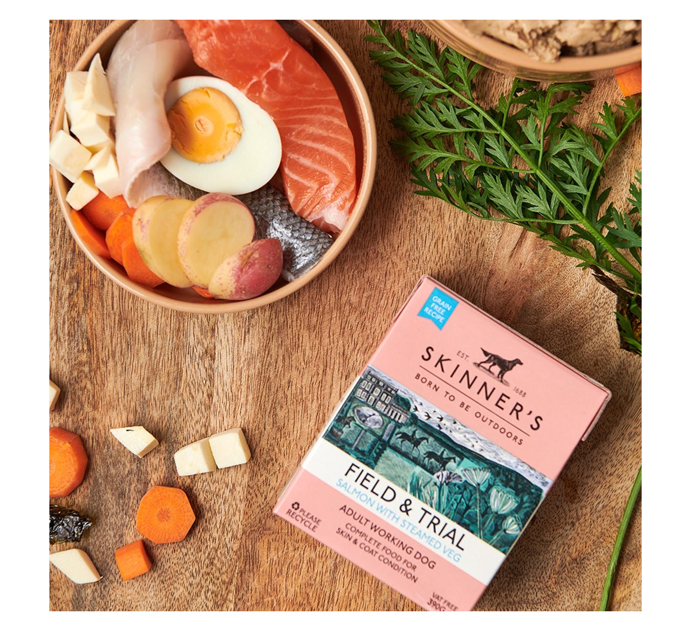Skinners Field Trial Salmon with Steamed Veg Wet Dog Food Buy Online SPR Centre