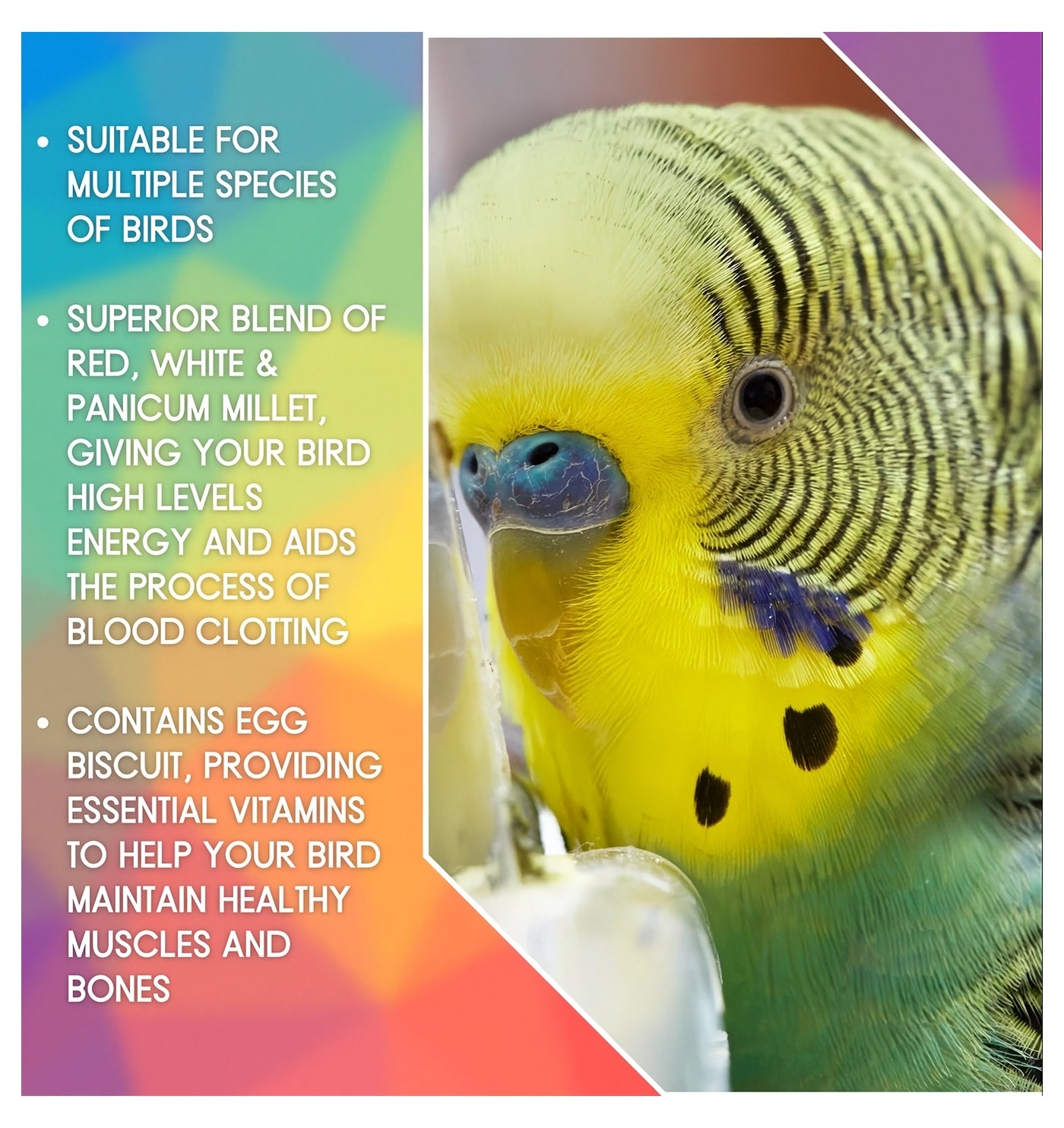 SkyGold - Aviary Mix 20kg | Cage Bird Food - Buy Online SPR Centre UK
