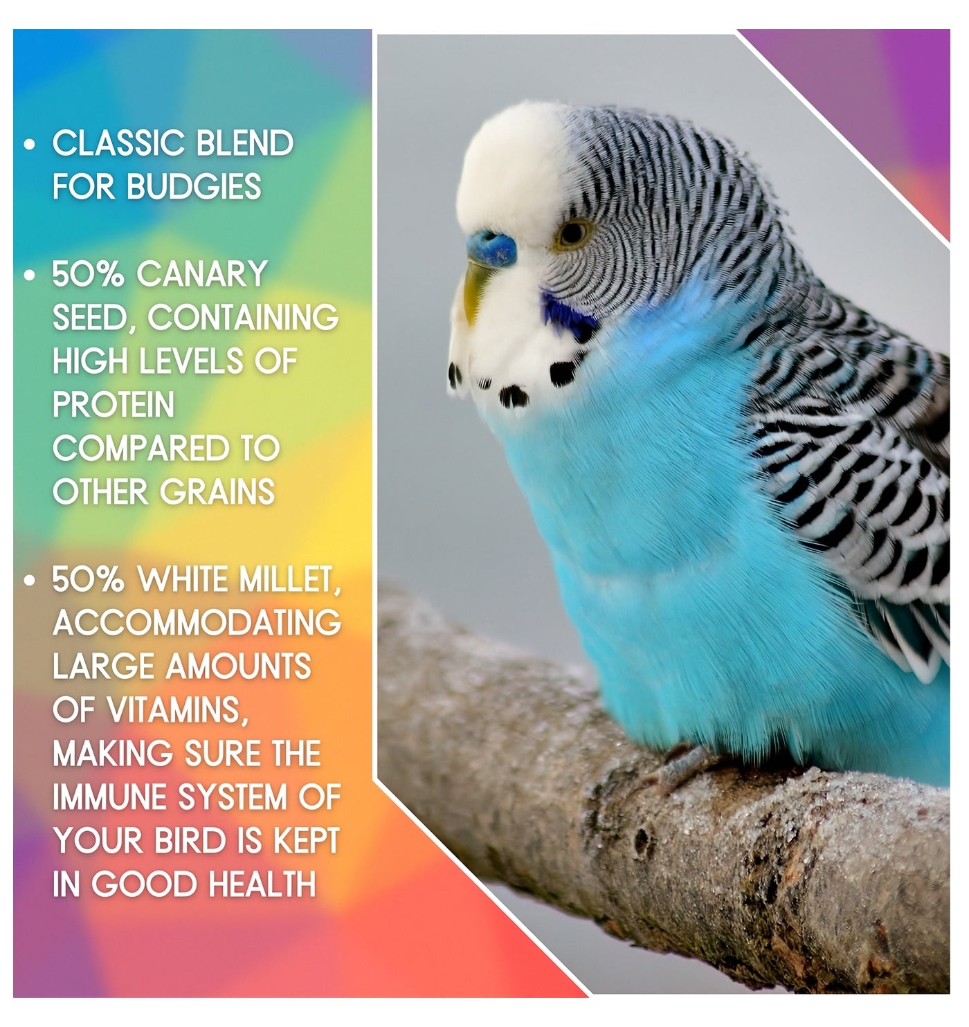 SkyGold - Budgie 50/50 Mix 20kg - Buy Online SPR Centre UK