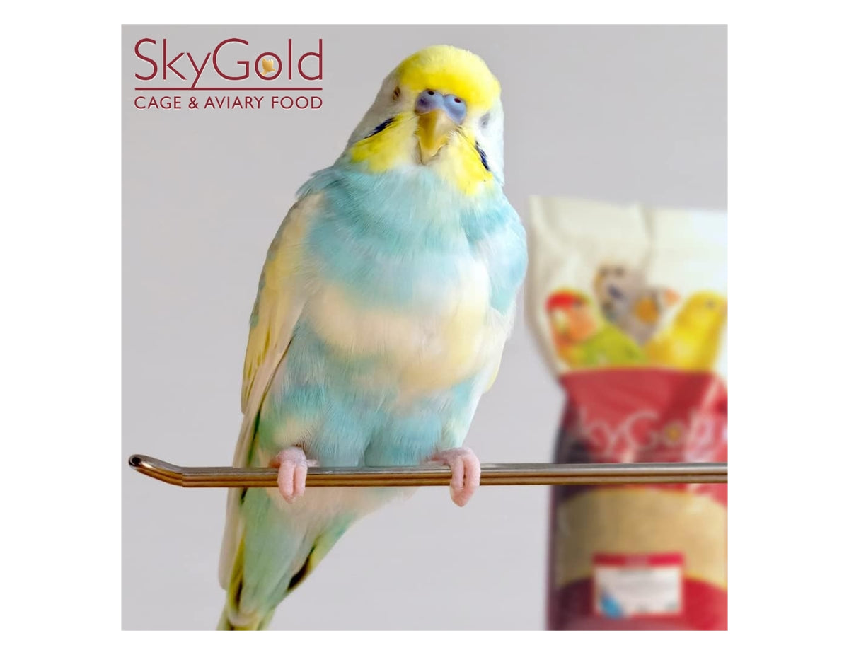 SkyGold - Finest Bird Sand - 1.5kg - Buy Online SPR Centre UK