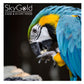 SkyGold - Fruit & Aniseed Parrot Mix 12.5kg - Buy Online SPR Centre UK
