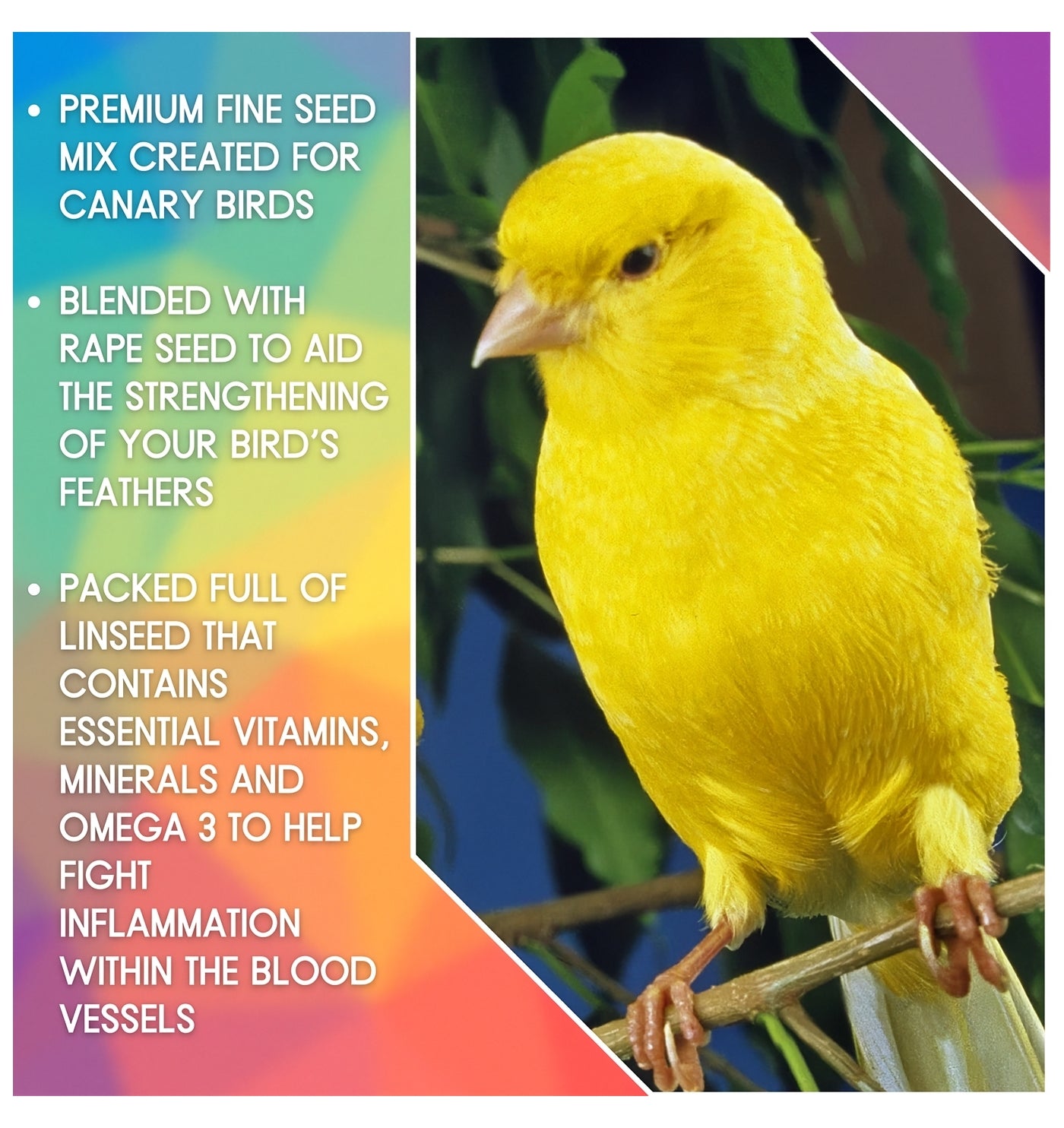 SkyGold - Gourmet Canary Food - Buy Online SPR Centre UK