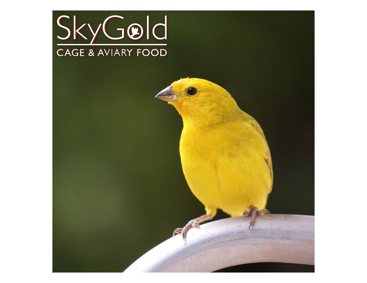 SkyGold - Gourmet Canary Food - Buy Online SPR Centre UK