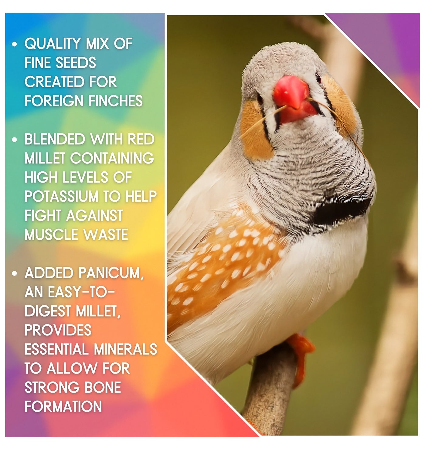 SkyGold - Gourmet Foreign Finch | Cage Bird Food - Buy Online SPR Centre UK