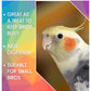 SkyGold - Finest Millet Sprays - Buy Online SPR Centre UK