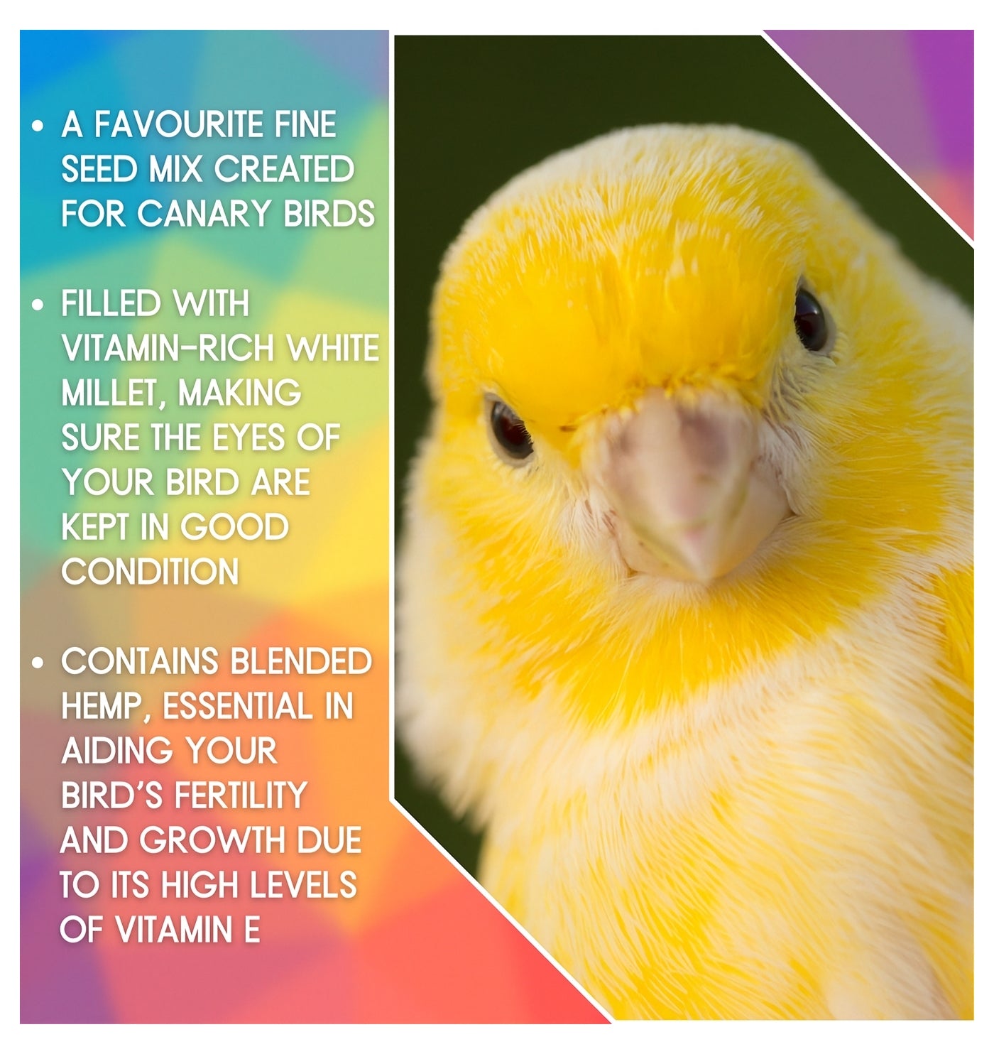 SkyGold - Popular Canary Mix 20kg - Buy Online SPR Centre UK