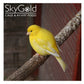 SkyGold - Popular Canary Mix 20kg - Buy Online SPR Centre UK