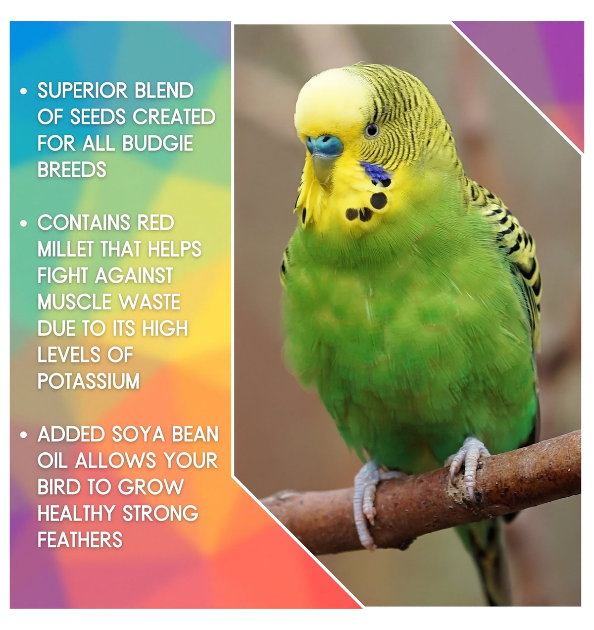 SkyGold - Quality Budgie Food - Buy Online SPR Centre UK