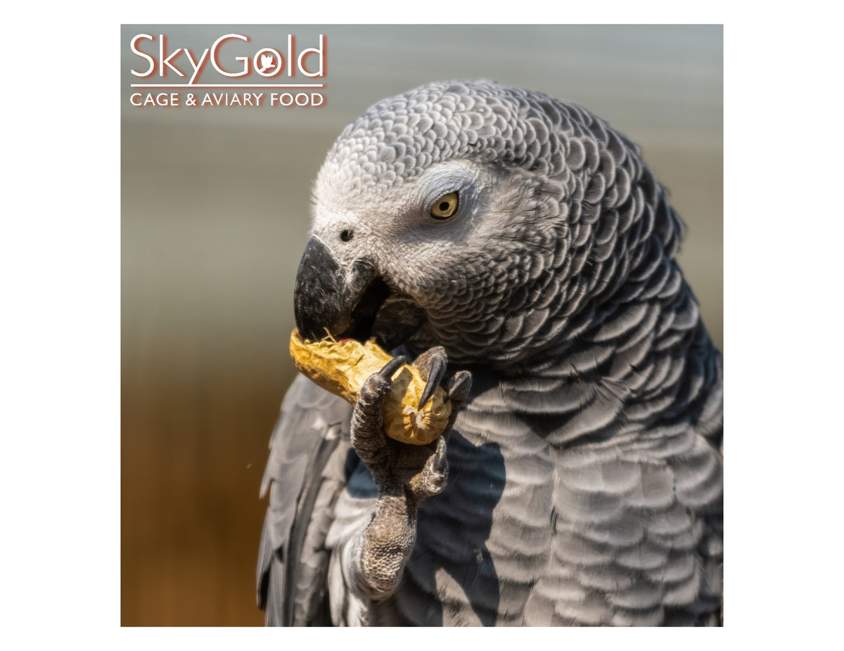 SkyGold - Royale Parrot Mix 2.5kg Tub - Buy Online SPR Centre UK