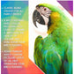 SkyGold - Standard Parrot Food - Buy Online SPR Centre UK