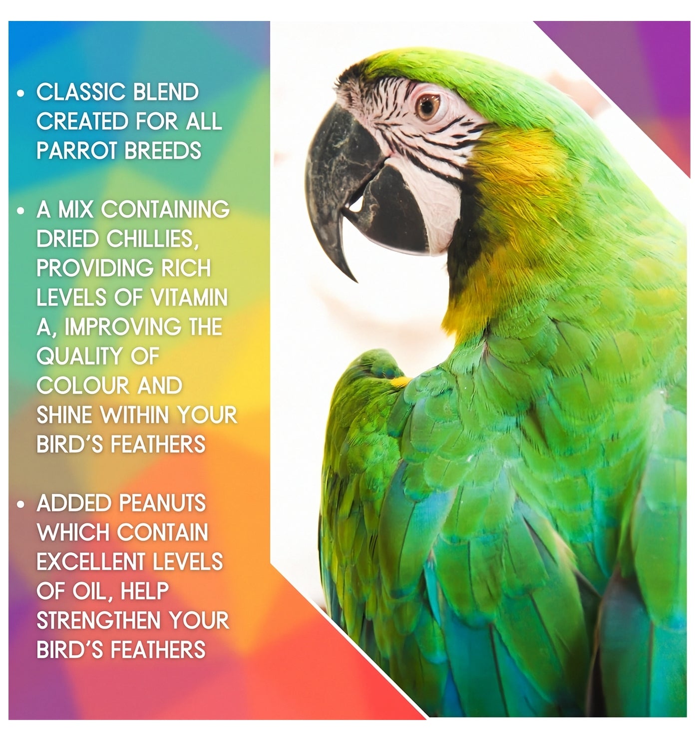 SkyGold - Standard Parrot Food - Buy Online SPR Centre UK