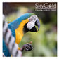 SkyGold - Standard Parrot Food - Buy Online SPR Centre UK