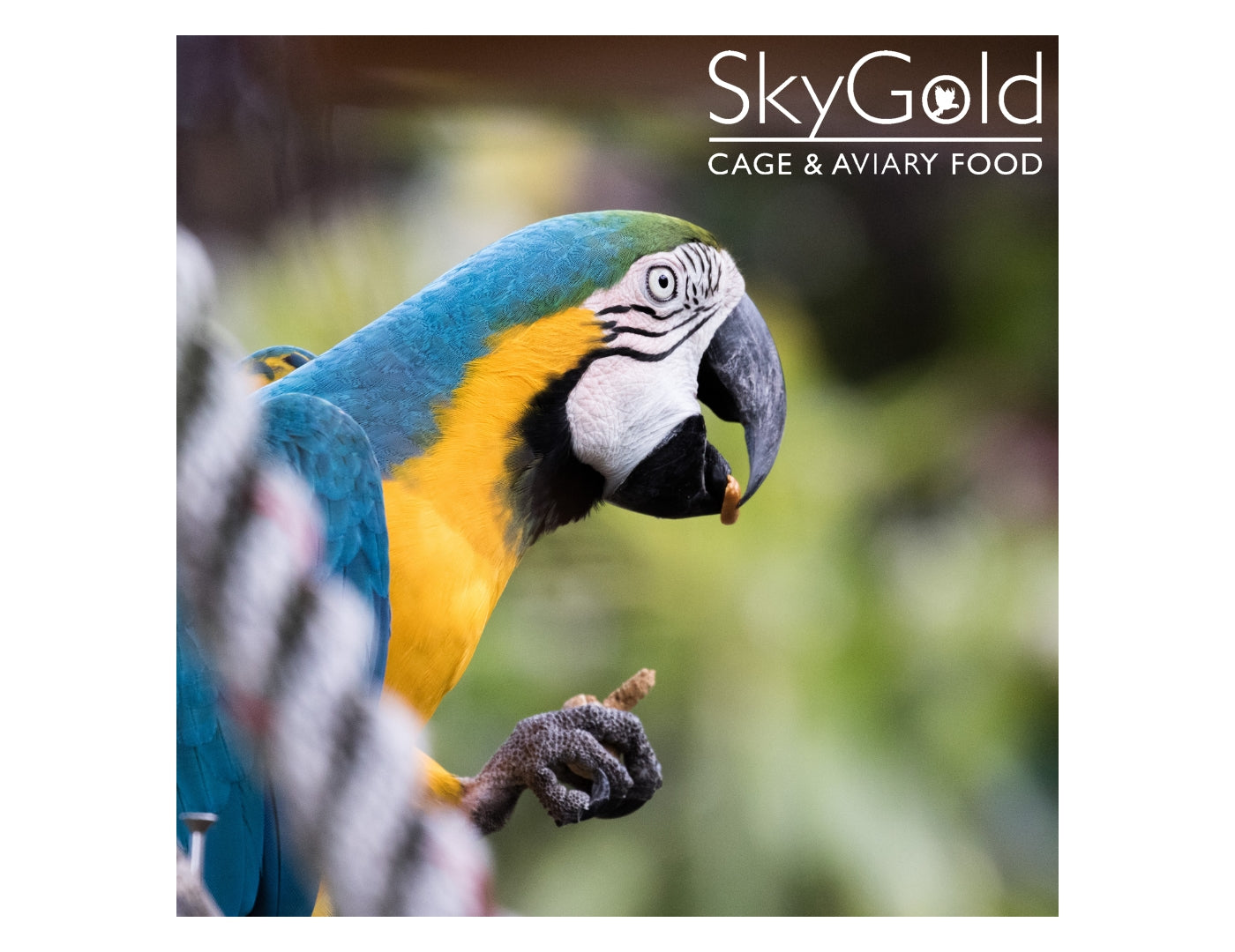 SkyGold - Standard Parrot Food - Buy Online SPR Centre UK