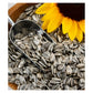 SkyGold - Finest Sunflower Seeds 2.5kg - Buy Online SPR Centre UK