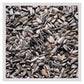 SkyGold - Finest Sunflower Seeds 2.5kg - Buy Online SPR Centre UK