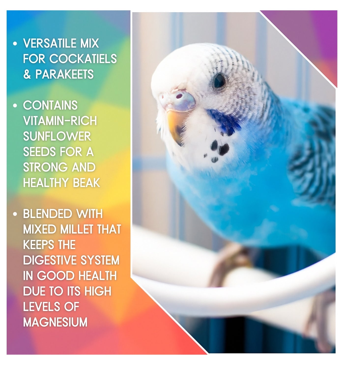 SkyGold - Cockatiel & Parakeet Mix - Buy Online SPR Centre UK