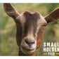 Smallholder Range - All Round Goat Mix 20kg - Buy Online SPR Centre UK