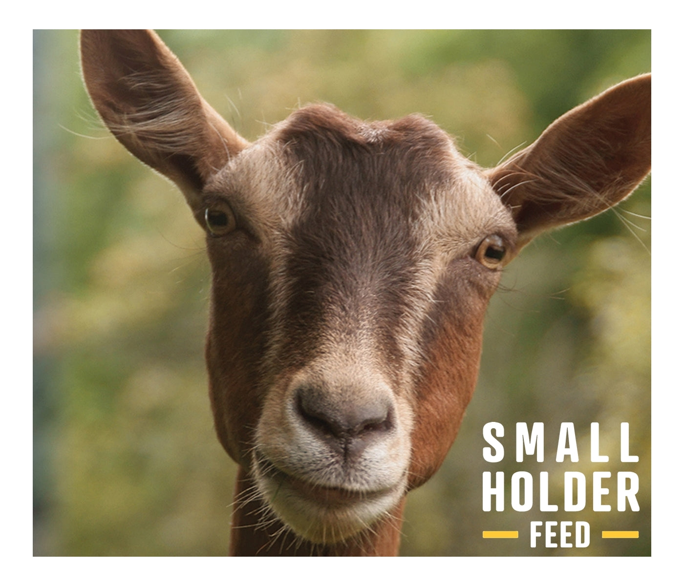 Smallholder Range - All Round Goat Mix 20kg - Buy Online SPR Centre UK