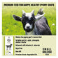 Smallholder - Pygmy Goat Mix 15kg - Buy Online SPR Centre UK