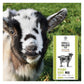 Smallholder - Pygmy Goat Mix 15kg - Buy Online SPR Centre UK