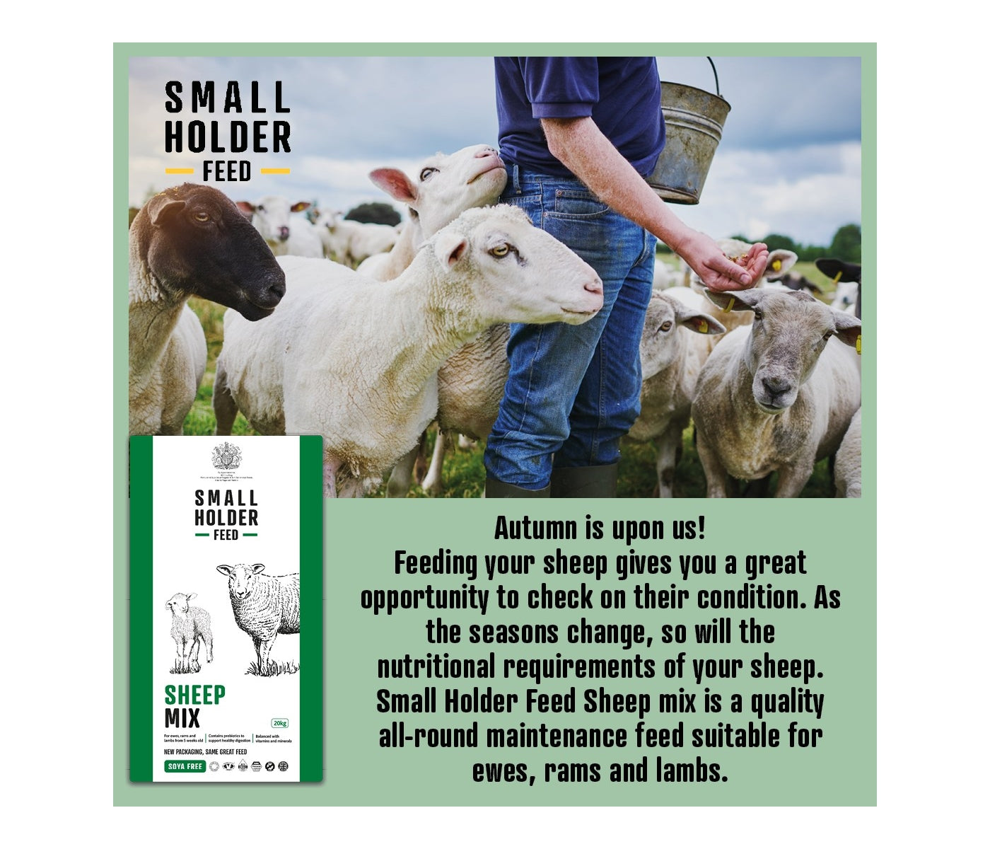 Smallholder - Sheep Mix 20kg - Buy Online SPR Centre UK