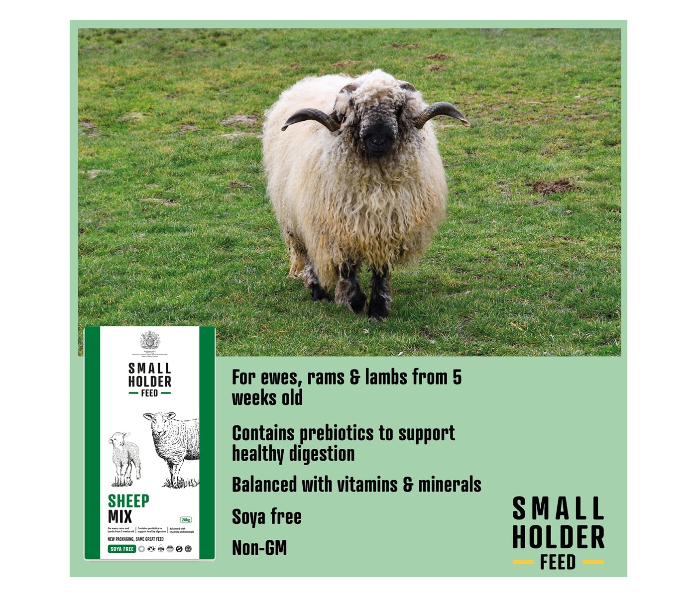 Smallholder - Sheep Mix 20kg - Buy Online SPR Centre UK
