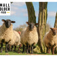 Smallholder - Sheep Mix 20kg - Buy Online SPR Centre UK