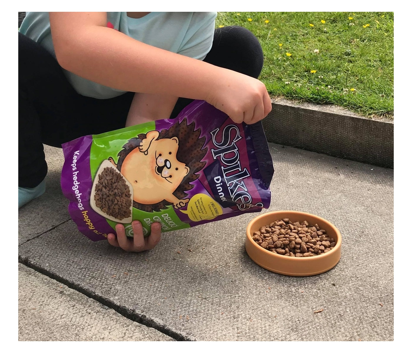 Spike's - Crunchy Dry Hedgehog Food 650g - Buy Online SPR Centre UK