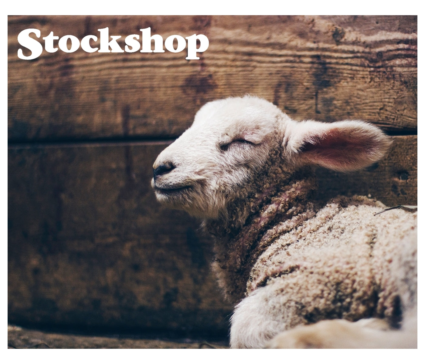 Single Loop Lambing Rope (2 Pack) - Buy Online SPR Centre UK