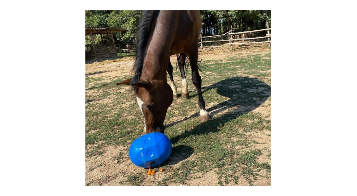 Stubbs Rock ’n’ Roll Ball (Blue) | Horse Treat Toy - Buy Online SPR Centre UK