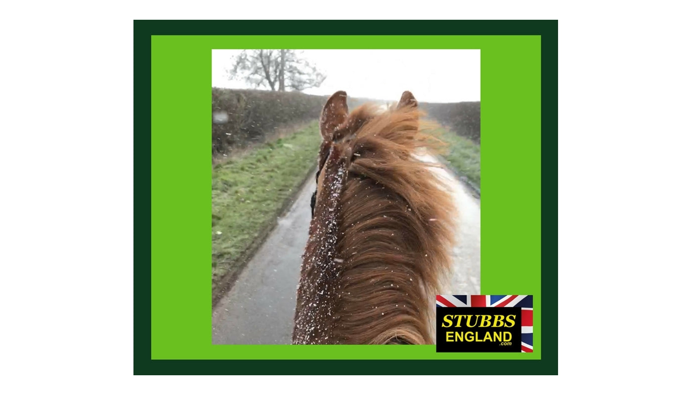 Stubbs - Traditional Corner Hay Rack - Buy Online SPR Centre UK