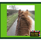 Stubbs - Haysaver Corner Rack S15 - Buy Online SPR Centre UK