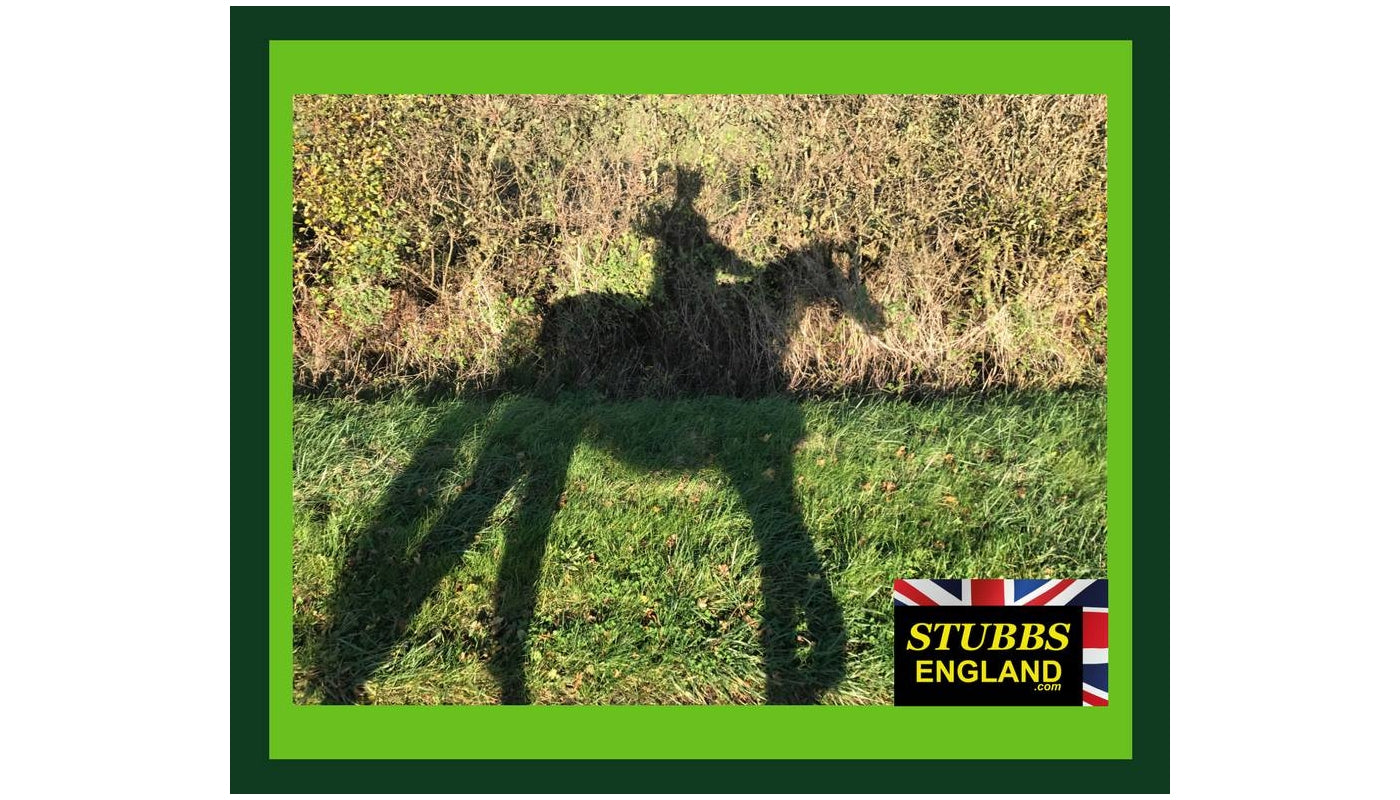Stubbs - Traditional Corner Hay Rack - Buy Online SPR Centre UK