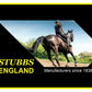Stubbs - Standard Saddle Rack S17 (Black) - Buy Online SPR Centre UK