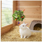 Super Pet - Veggie Twister (for Small Animals, Cage Birds & Chickens) - Buy Online SPR Centre UK