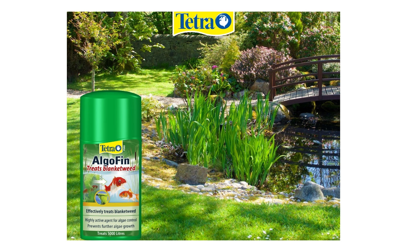 Tetra Pond - AlgoFin - Buy Online SPR Centre UK