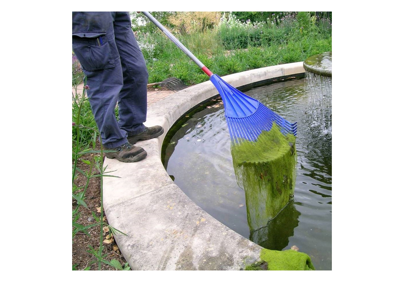 Tetra Pond - AlgoFin - Buy Online SPR Centre UK