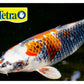 Tetra Pond - AquaSafe - Buy Online SPR Centre UK