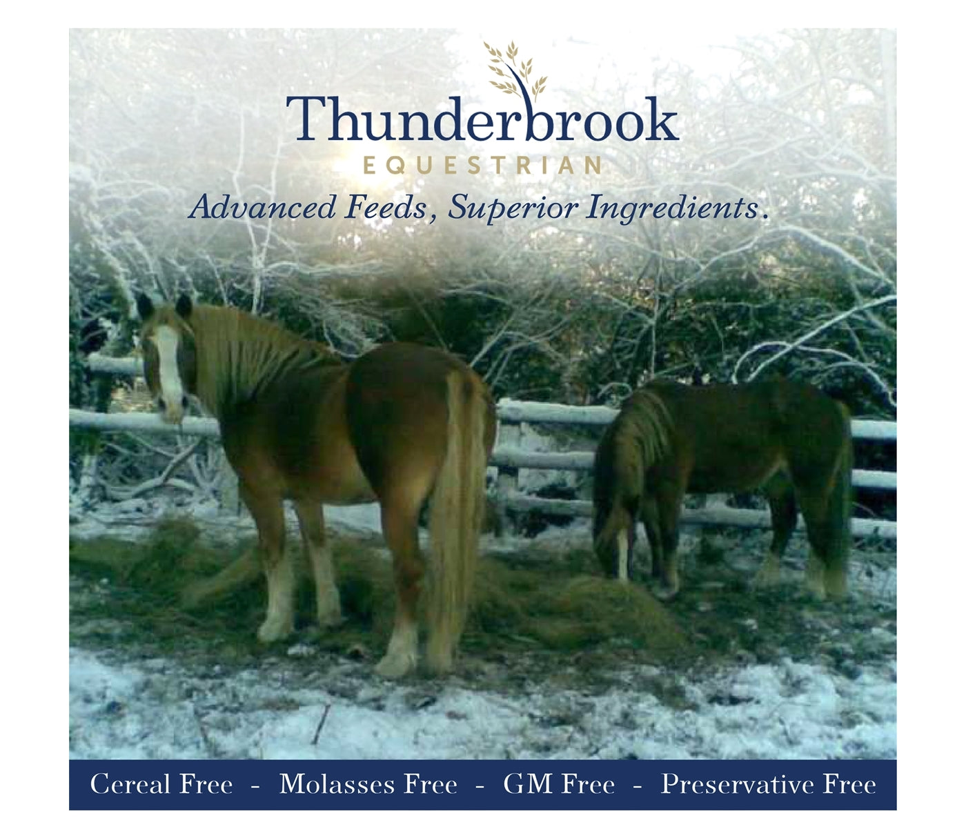 Thunderbrook Healthy Herbal Chaff | Horse Feed - Buy Online SPR Centre UK