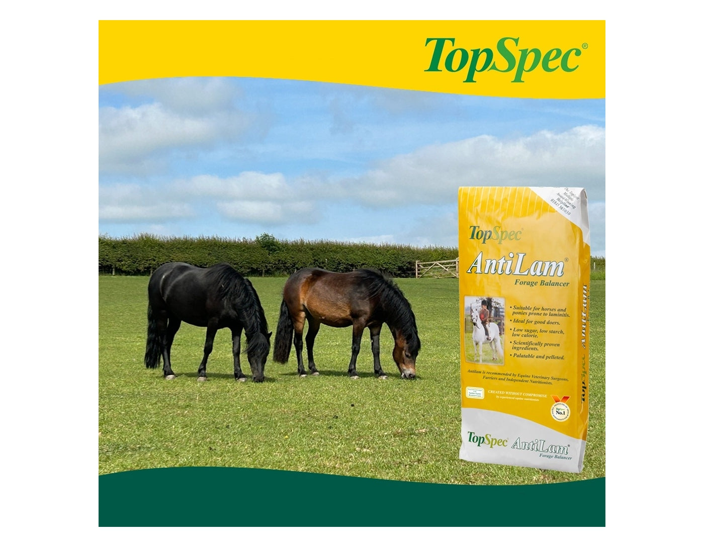 TopSpec AntiLam Forage Balancer | Horse Feed - Buy Online SPR Centre UK