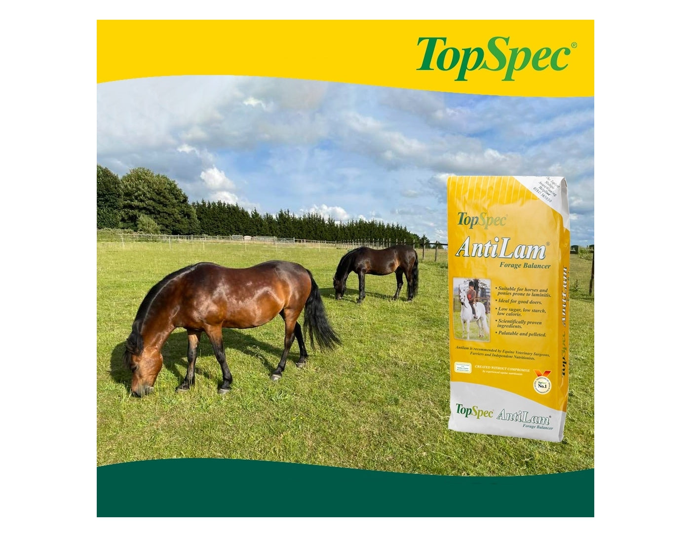 TopSpec AntiLam Forage Balancer | Horse Feed - Buy Online SPR Centre UK