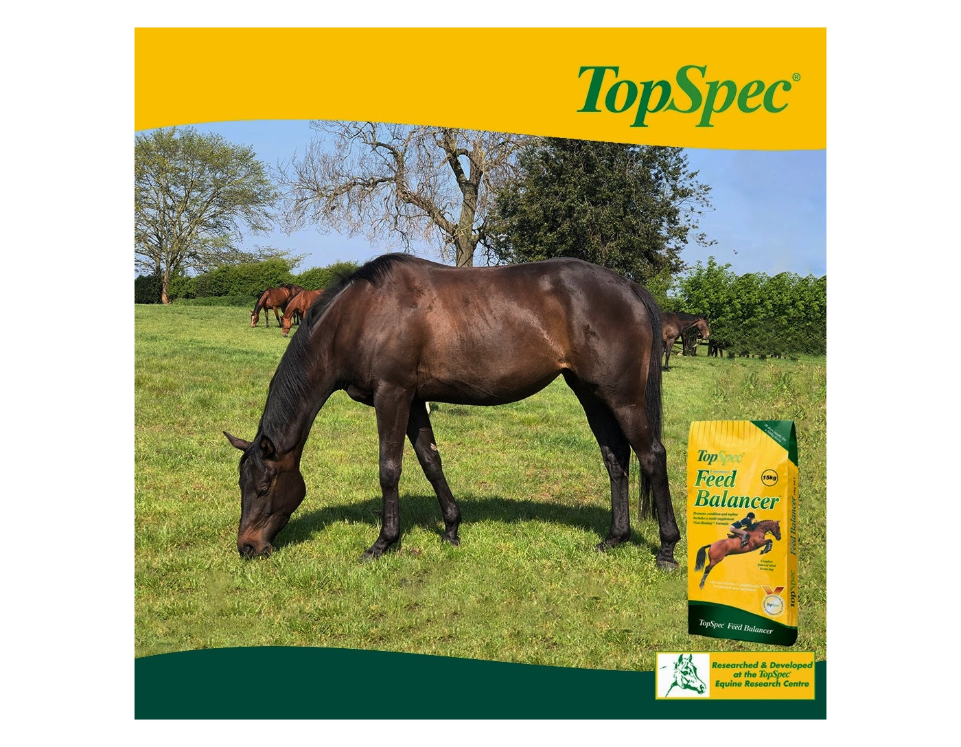 TopSpec Comprehensive Feed Balancer | Horse Feed - Buy Online SPR Centre UK