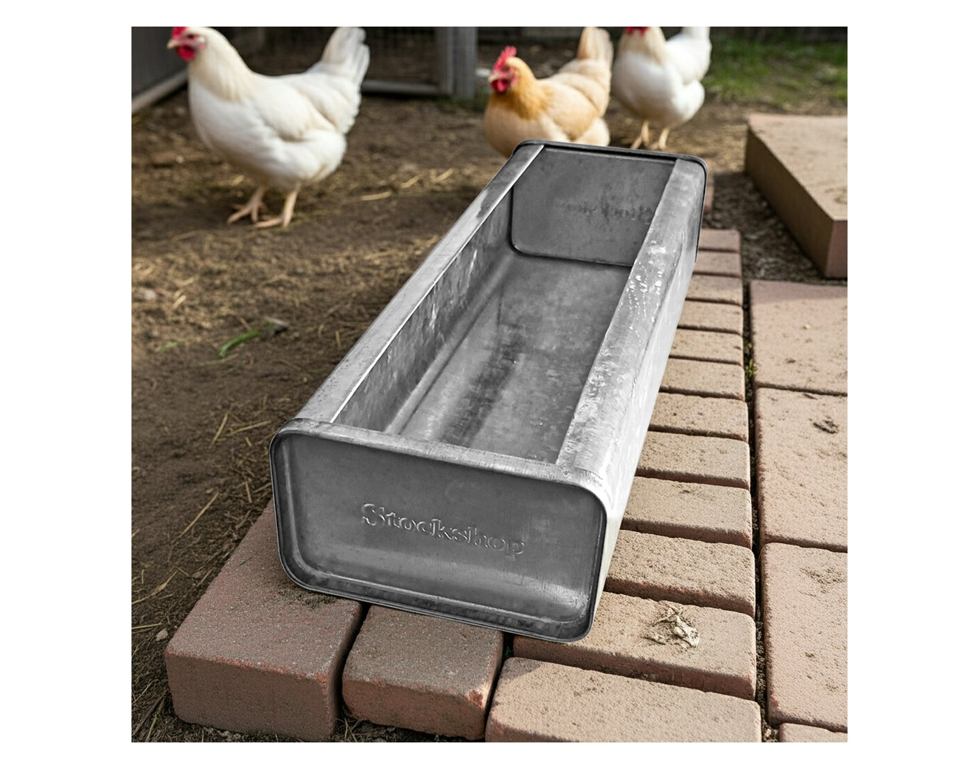 Galvanised Feed Trough for Poultry & Pigeons - Buy Online SPR Centre UK