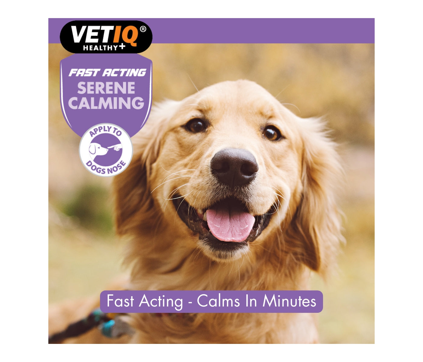 VETIQ - Serene Calming Ointment for Dogs - Buy Online SPR Centre UK