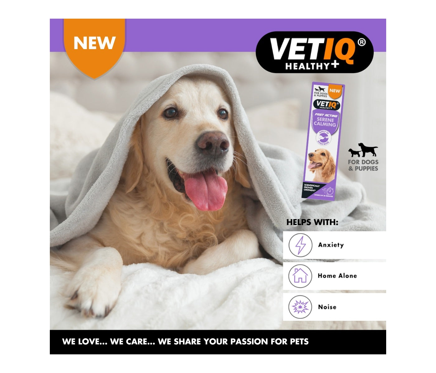 VETIQ - Serene Calming Ointment for Dogs - Buy Online SPR Centre UK
