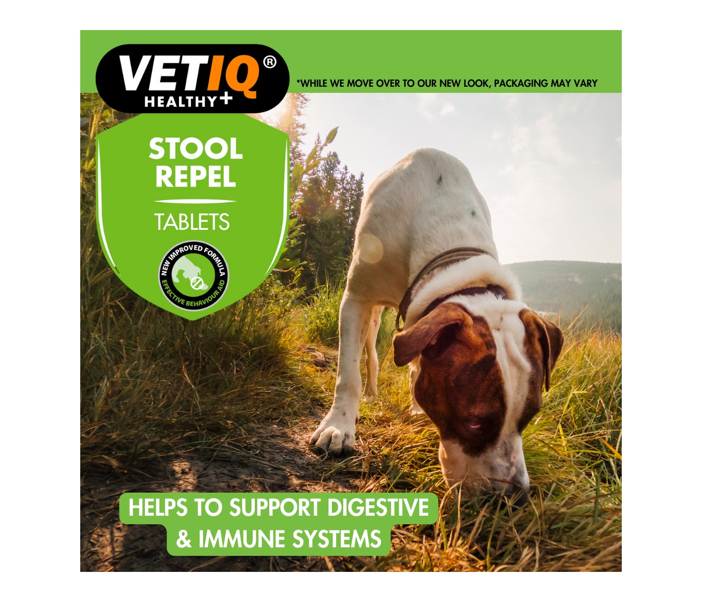 VETIQ - Stool Repel Tablets - Buy Online SPR Centre UK