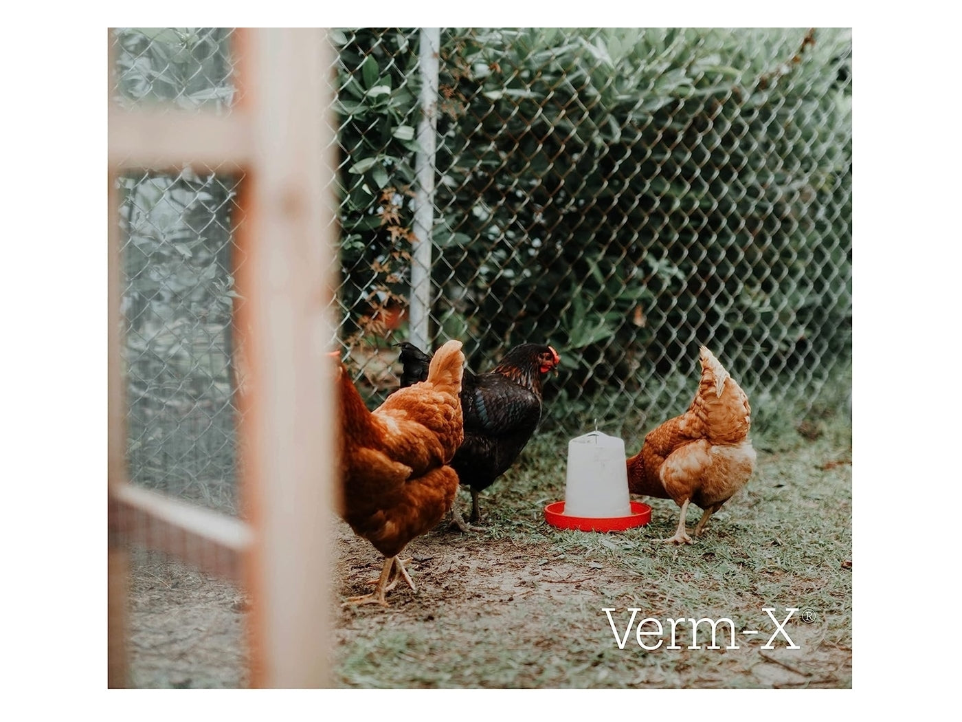 Verm-X Pellets for Poultry, Ducks & Fowl