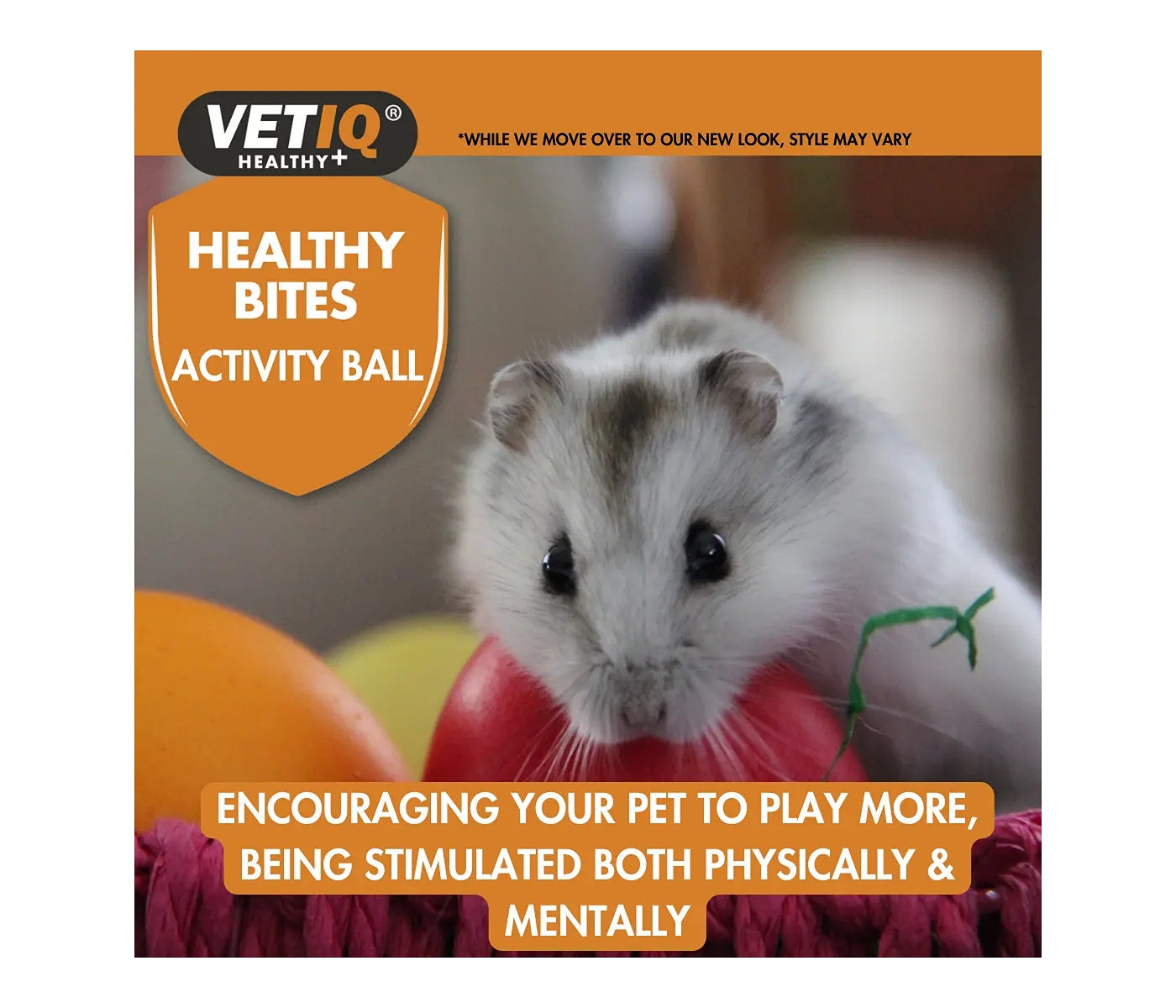 Vet IQ - Activity Ball For Small Animals - Buy Online SPR Centre UK