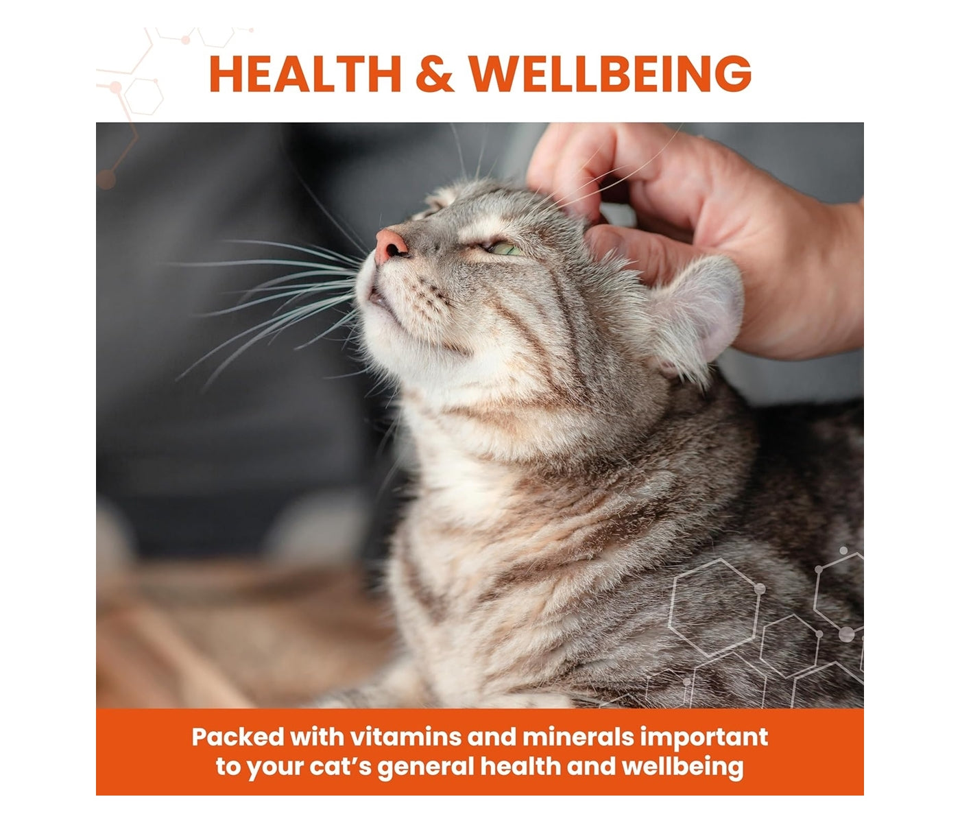 Vetzyme - Conditioning Tablets for Cats - Buy Online SPR Centre UK