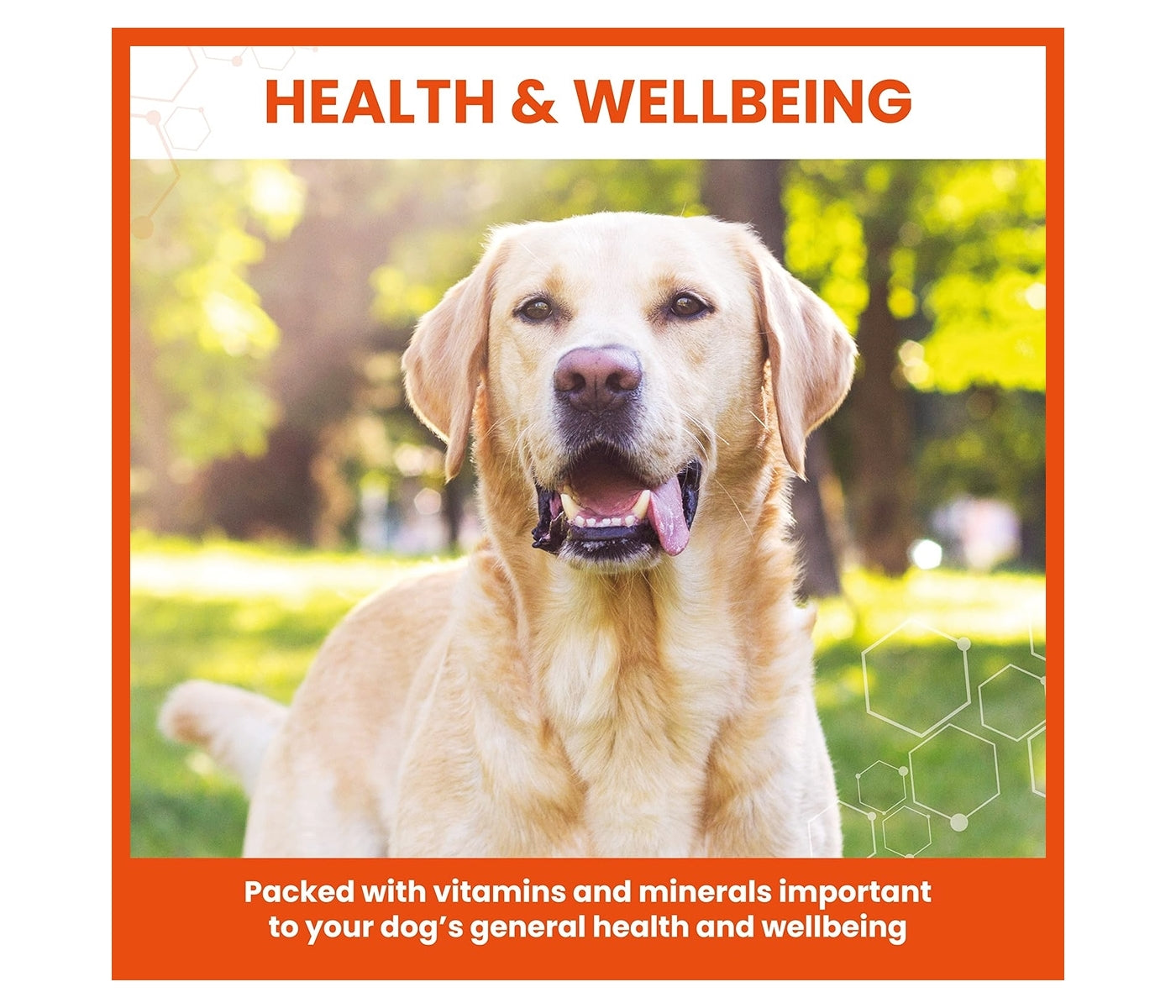 Vetzyme Conditioning Tablets for Dogs - 100 Tablets - Buy Online SPR Centre UK